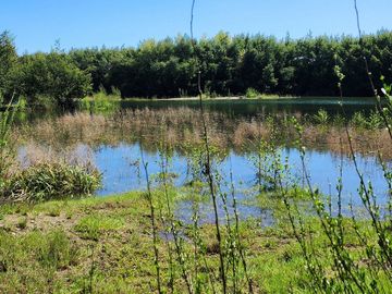 Linda Parcela de 5000m2 a sólo 20km de Valdivia y colindante con río Calle Calle