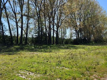 Linda Parcela de 5000m2 a sólo 20km de Valdivia y colindante con río Calle Calle
