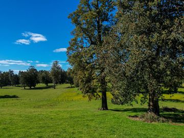 Parcelas en venta en Osorno con agua y electricidad, Proyecto Entre Pellines – Región de los Lagos