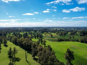 Parcelas en venta en Osorno con agua y electricidad, Proyecto Entre Pellines – Región de los Lagos