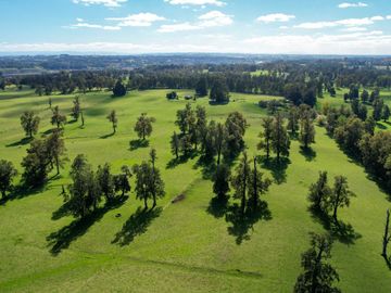 Parcelas en venta en Osorno con agua y electricidad, Proyecto Entre Pellines – Región de los Lagos