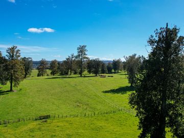Parcelas en venta en Osorno con agua y electricidad, Proyecto Entre Pellines – Región de los Lagos