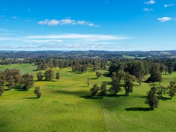 Parcelas en venta en Osorno con agua y electricidad, Proyecto Entre Pellines – Región de los Lagos