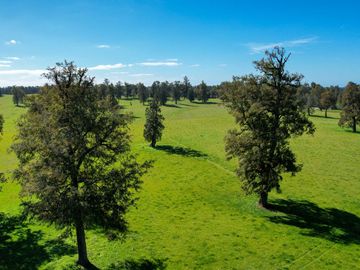 Parcelas en venta en Osorno con agua y electricidad, Proyecto Entre Pellines – Región de los Lagos