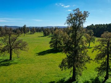 Parcelas en venta en Osorno con agua y electricidad, Proyecto Entre Pellines – Región de los Lagos