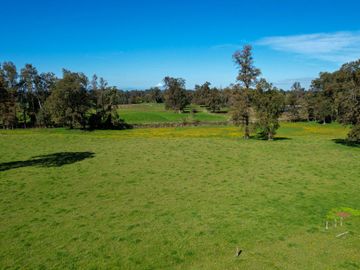 Parcelas en venta en Osorno con agua y electricidad, Proyecto Entre Pellines – Región de los Lagos