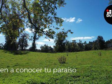 Parcelas en venta en Osorno con agua y electricidad, Proyecto Entre Pellines – Región de los Lagos