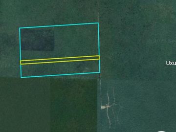 Venta de terreno para inversionistas en TULUM