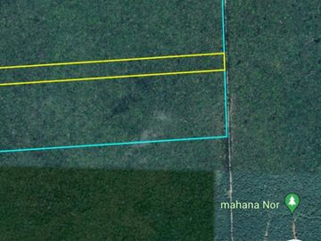 Venta de terreno para inversionistas en TULUM