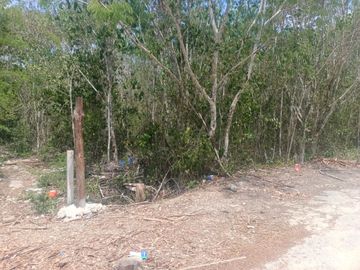 Venta de terreno para inversionistas en TULUM