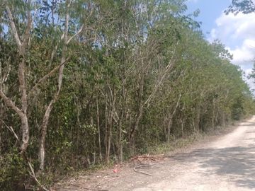 Venta de terreno para inversionistas en TULUM