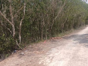 Venta de terreno para inversionistas en TULUM