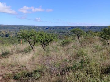 Lote de 1000m2 en San Lorenzo, Traslasierra de Córdoba. USD 8.000