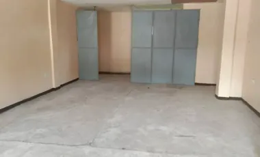 Tabaco Highway Commercial Lot & Buildings