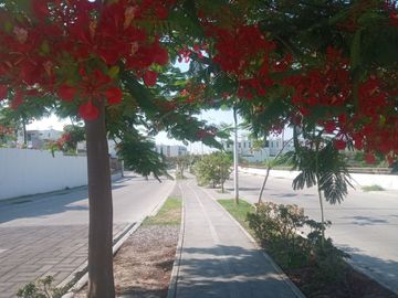 Casa en renta, Xochitepec Morelos, Residencial Santa Fe II