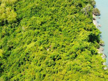 BEACH PROPERTY FOR SALE IN BUENAVISTA, GUIMARAS