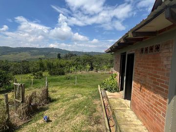 VENDO FINCA LA CUMBRE VALLE DEL CAUCA , PAVITAS.