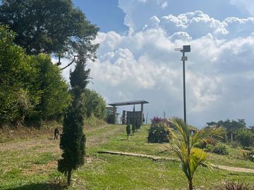 VENDO FINCA LA CUMBRE VALLE DEL CAUCA , PAVITAS.