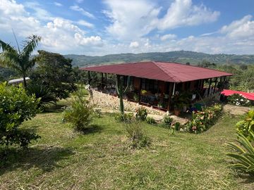 VENDO FINCA LA CUMBRE VALLE DEL CAUCA , PAVITAS.