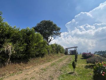 VENDO FINCA LA CUMBRE VALLE DEL CAUCA , PAVITAS.