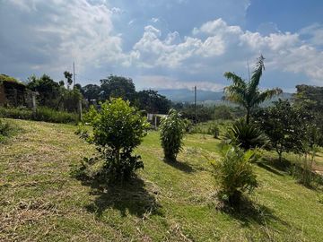 VENDO FINCA LA CUMBRE VALLE DEL CAUCA , PAVITAS.