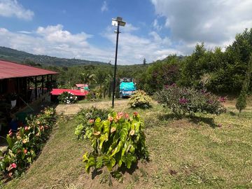 VENDO FINCA LA CUMBRE VALLE DEL CAUCA , PAVITAS.