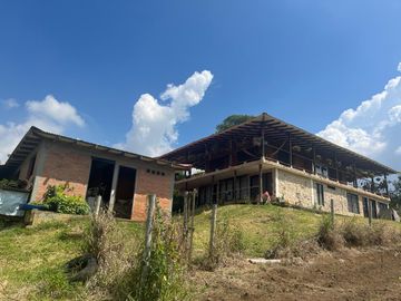VENDO FINCA LA CUMBRE VALLE DEL CAUCA , PAVITAS.