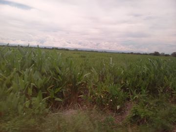 VENTA DE FINCA SAN MARTIN, CESAR