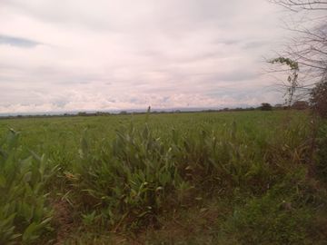 VENTA DE FINCA SAN MARTIN, CESAR