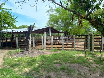 VENTA DE FINCA SAN MARTIN, CESAR