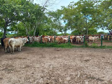 VENTA DE FINCA SAN MARTIN, CESAR