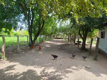 VENTA DE FINCA SAN MARTIN, CESAR