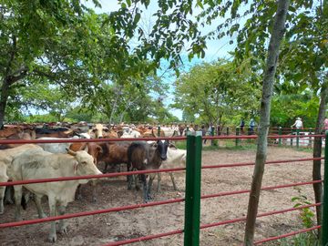 VENTA DE FINCA SAN MARTIN, CESAR
