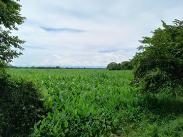 VENTA DE FINCA SAN MARTIN, CESAR