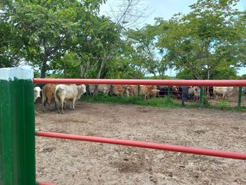 VENTA DE FINCA SAN MARTIN, CESAR