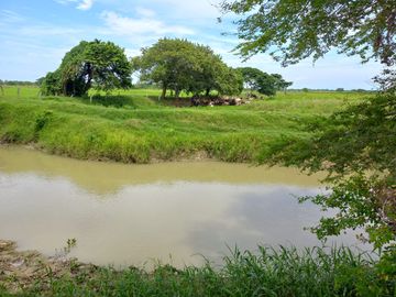 VENTA DE FINCA SAN MARTIN, CESAR
