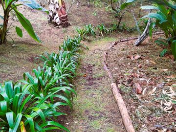 Finca de recreo en Venta Santa Elena Rionegro.