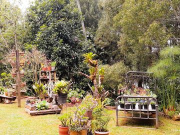 Finca de recreo en Venta Santa Elena Rionegro.