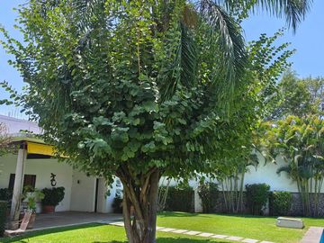 Casa en venta en Yautepec Morelos, en conjunto con alberca.
