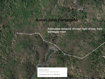 9.8 hectares beach lot for sale in Buenavista Guimaras