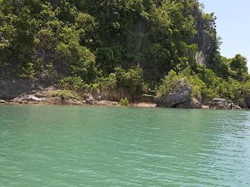 9.8 hectares beach lot for sale in Buenavista Guimaras