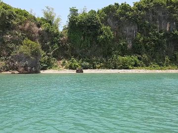 9.8 hectares beach lot for sale in Buenavista Guimaras