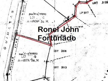 9.8 hectares beach lot for sale in Buenavista Guimaras