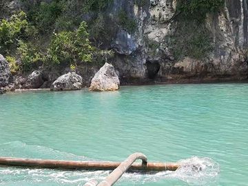 9.8 hectares beach lot for sale in Buenavista Guimaras