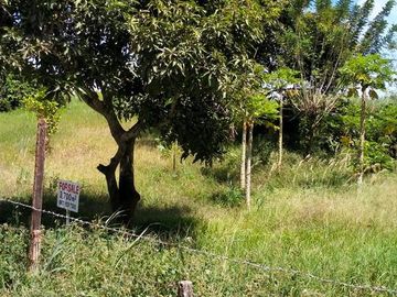 6,204 sqm Vacant Lot (1) for Sale at Tolentino, Tagaytay City