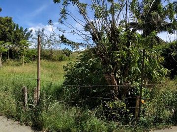 6,204 sqm Vacant Lot (1) for Sale at Tolentino, Tagaytay City