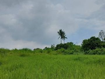 6,204 sqm Vacant Lot (1) for Sale at Tolentino, Tagaytay City