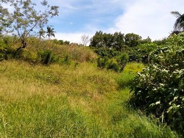 6,204 sqm Vacant Lot (1) for Sale at Tolentino, Tagaytay City