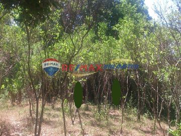 FOR SALE: INDANG CAVITE FARM LOT