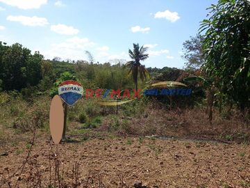 FOR SALE: INDANG CAVITE FARM LOT